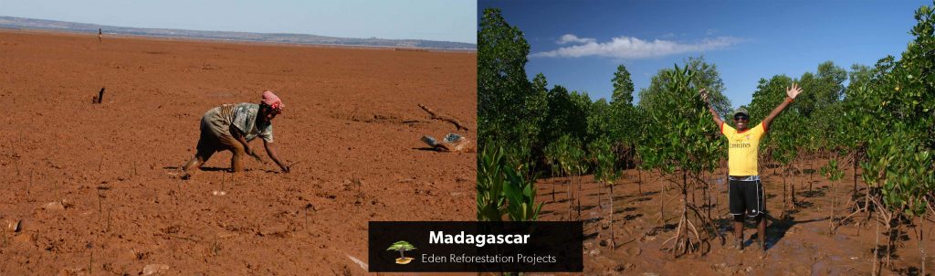 Madagascar Tree Planting